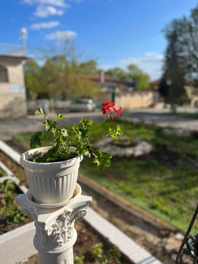Хотел Диамант Hotel Diamond Bałczik Zewnętrze zdjęcie